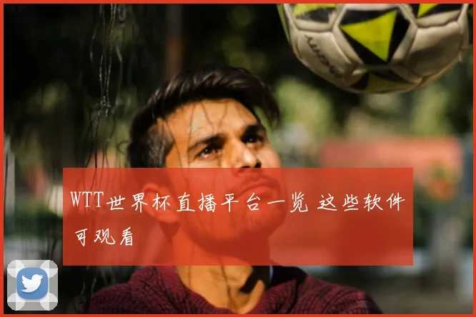 WTT世界杯直播平台一览 这些软件可观看