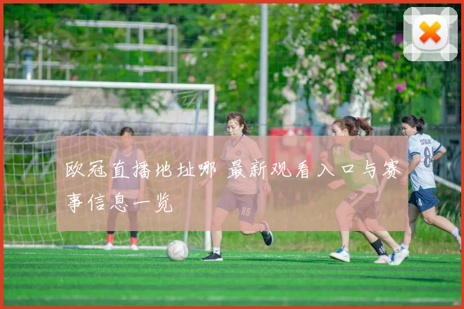 欧冠直播地址哪 最新观看入口与赛事信息一览