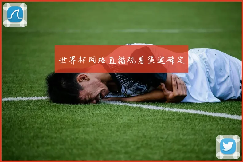 世界杯网络直播观看渠道确定