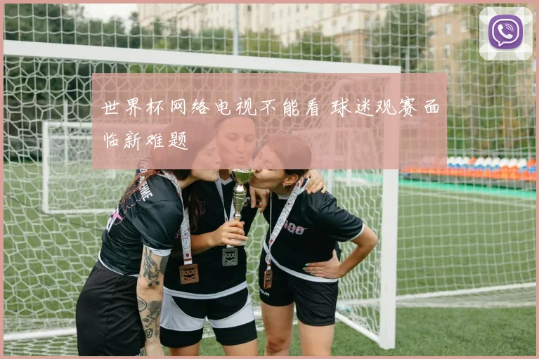 世界杯网络电视不能看 球迷观赛面临新难题