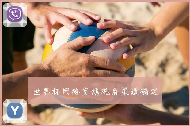 世界杯网络直播观看渠道确定