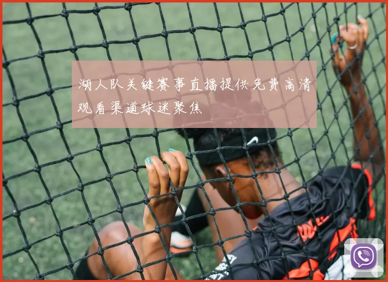 湖人队关键赛事直播提供免费高清观看渠道球迷聚焦