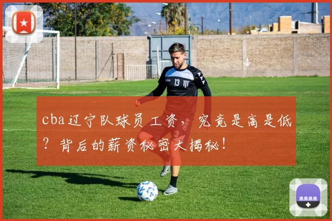cba辽宁队球员工资，究竟是高是低？背后的薪资秘密大揭秘！