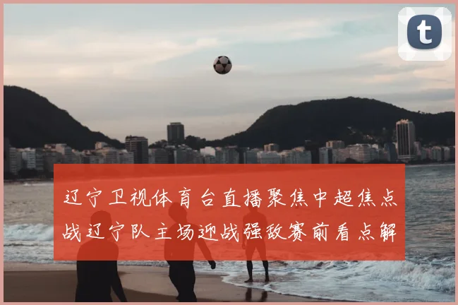 辽宁卫视体育台直播聚焦中超焦点战辽宁队主场迎战强敌赛前看点解析