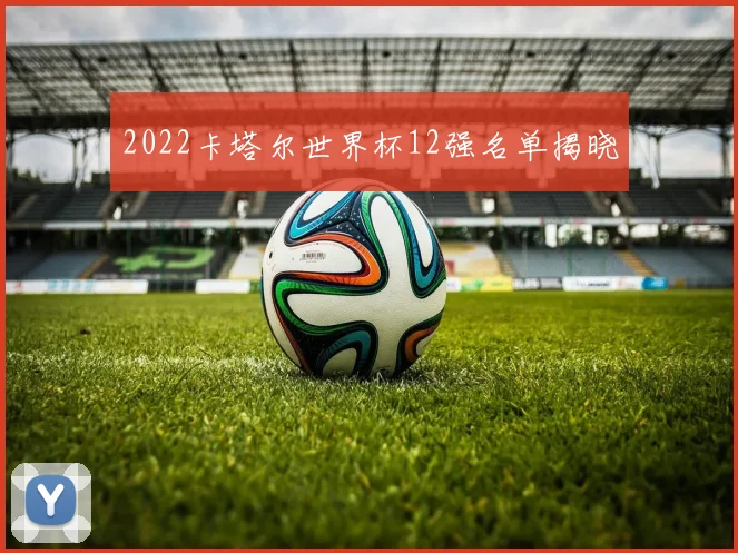 2022卡塔尔世界杯12强名单揭晓
