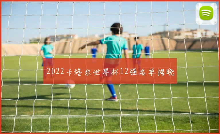 2022卡塔尔世界杯12强名单揭晓