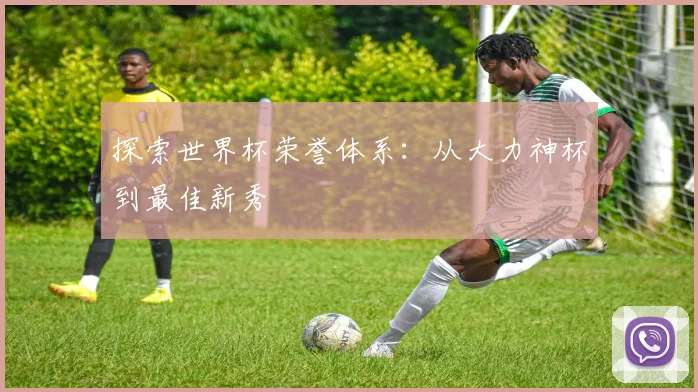 探索世界杯荣誉体系:从大力神杯到最佳新秀